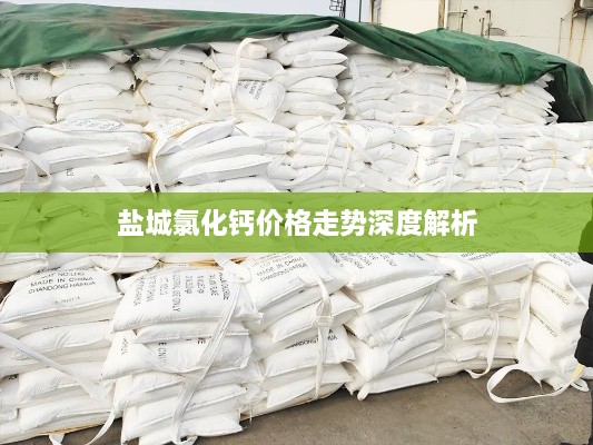 鹽城氯化鈣價(jià)格走勢深度解析