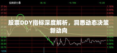 股票DDY指標深度解析，洞悉動態(tài)決策新動向