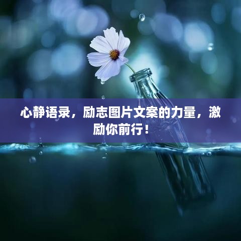 心靜語(yǔ)錄，勵(lì)志圖片文案的力量，激勵(lì)你前行！