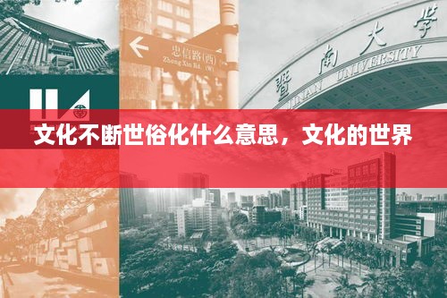 文化不斷世俗化什么意思，文化的世界 