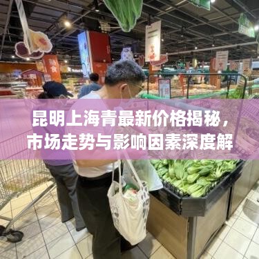 昆明上海青最新價(jià)格揭秘，市場(chǎng)走勢(shì)與影響因素深度解析