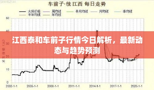 江西泰和車前子行情今日解析，最新動(dòng)態(tài)與趨勢預(yù)測