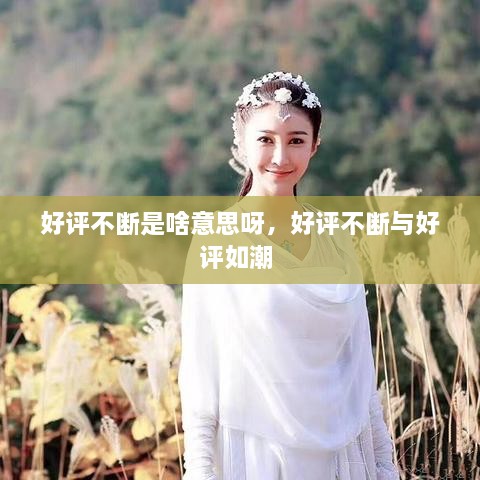 好評(píng)不斷是啥意思呀，好評(píng)不斷與好評(píng)如潮 