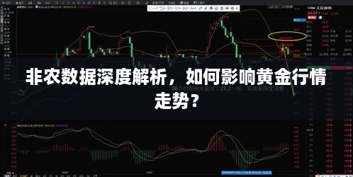 非農數(shù)據(jù)深度解析，如何影響黃金行情走勢？