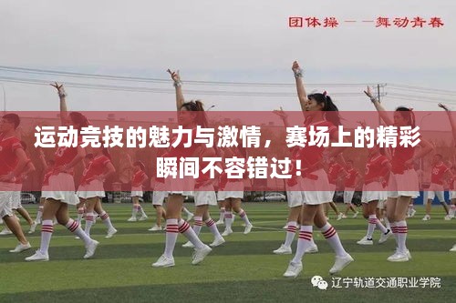 運(yùn)動(dòng)競技的魅力與激情，賽場上的精彩瞬間不容錯(cuò)過！