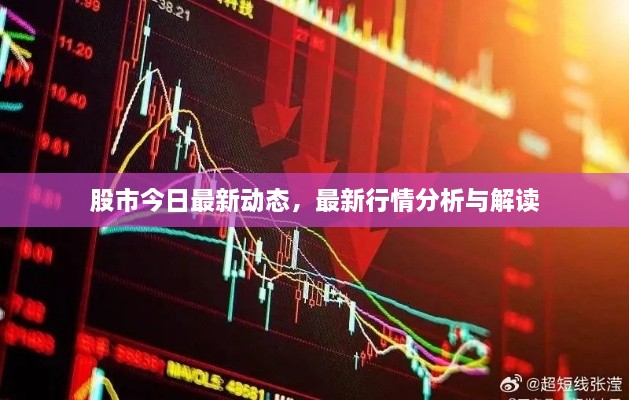 股市今日最新動態(tài)，最新行情分析與解讀