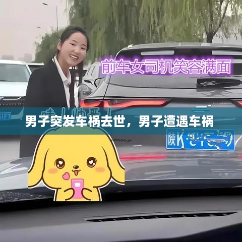 男子突發(fā)車禍去世，男子遭遇車禍 