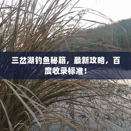 三岔湖釣魚秘籍，最新攻略，百度收錄標準！