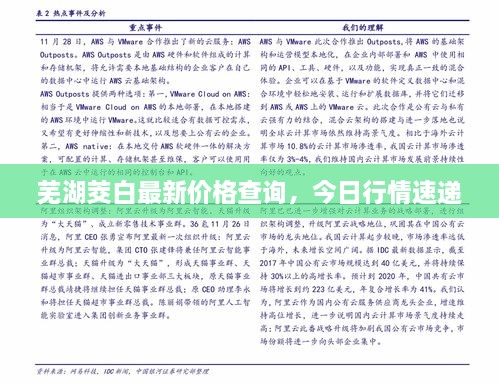 蕪湖茭白最新價格查詢，今日行情速遞