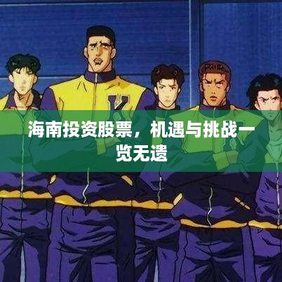 海南投資股票，機(jī)遇與挑戰(zhàn)一覽無(wú)遺