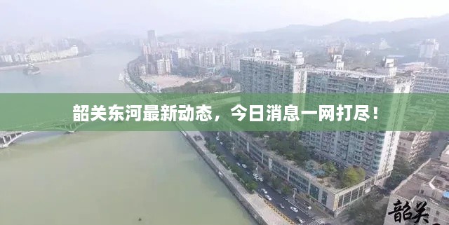 韶關(guān)東河最新動態(tài)，今日消息一網(wǎng)打盡！