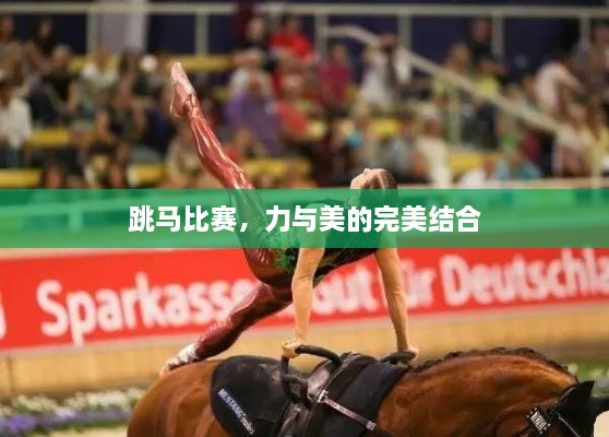 跳馬比賽，力與美的完美結(jié)合