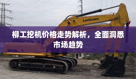 柳工挖機(jī)價(jià)格走勢(shì)解析，全面洞悉市場(chǎng)趨勢(shì)