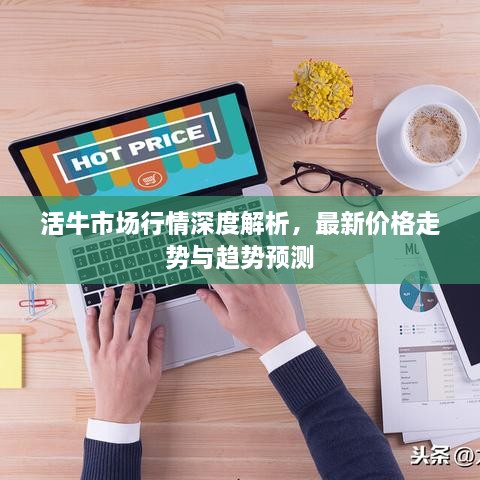活牛市場行情深度解析，最新價格走勢與趨勢預(yù)測