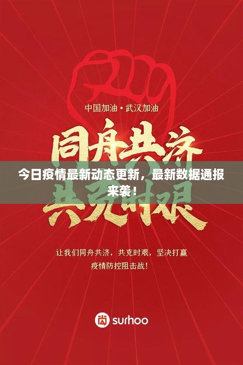 今日疫情最新動態(tài)更新，最新數(shù)據(jù)通報來襲！