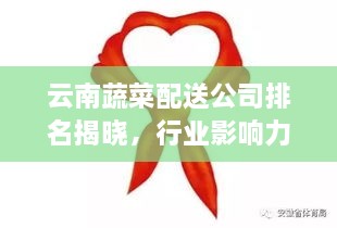云南蔬菜配送公司排名揭曉，行業(yè)影響力大揭秘！