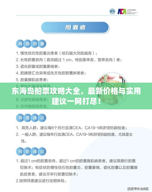 東海島船票攻略大全，最新價(jià)格與實(shí)用建議一網(wǎng)打盡！