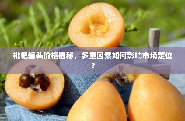 枇杷罐頭價格揭秘，多重因素如何影響市場定位？