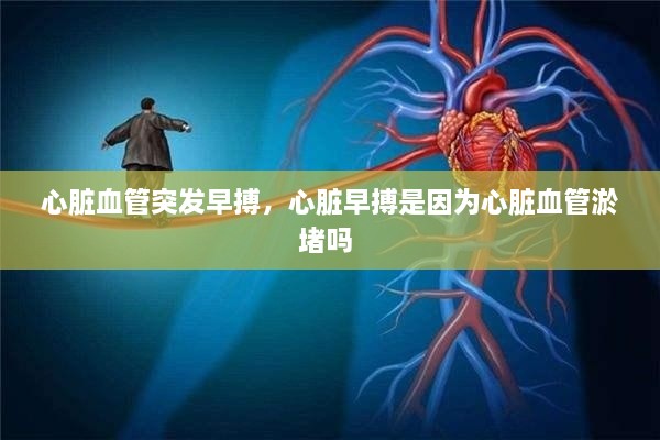 心臟血管突發(fā)早搏，心臟早搏是因為心臟血管淤堵嗎 