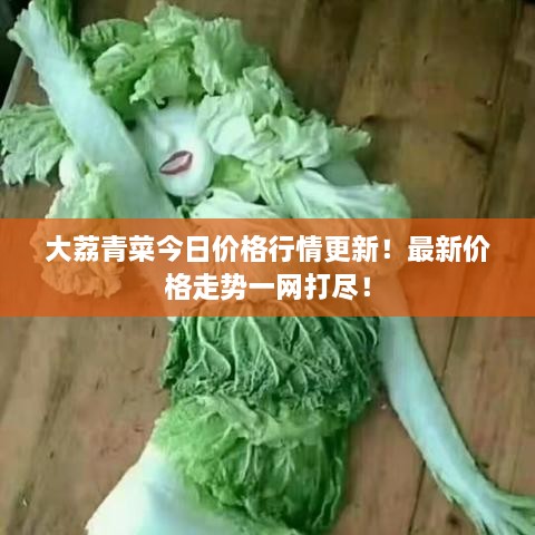 大荔青菜今日價格行情更新！最新價格走勢一網(wǎng)打盡！