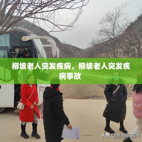 柳坡老人突發(fā)疾病，柳坡老人突發(fā)疾病事故 
