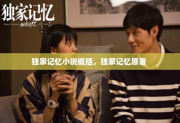 獨(dú)家記憶小說概括，獨(dú)家記憶原著 