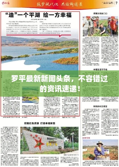 羅平最新新聞頭條，不容錯過的資訊速遞！