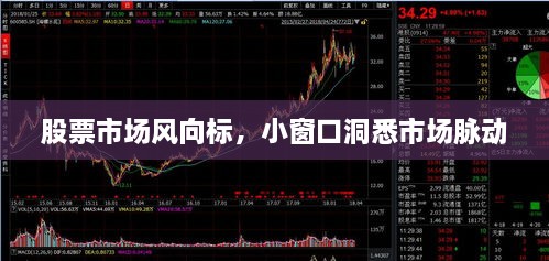 股票市場風(fēng)向標(biāo)，小窗口洞悉市場脈動