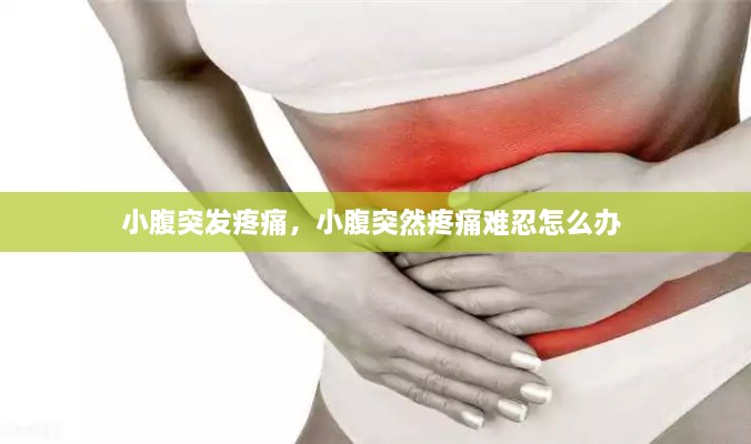 小腹突發(fā)疼痛，小腹突然疼痛難忍怎么辦 