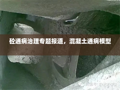 砼通病治理專題報(bào)道，混凝土通病模型 