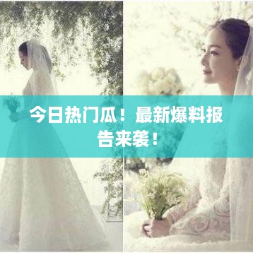新聞動(dòng)態(tài) 第14頁