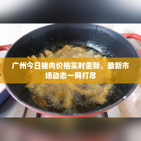 廣州今日豬肉價格實時更新，最新市場動態(tài)一網(wǎng)打盡