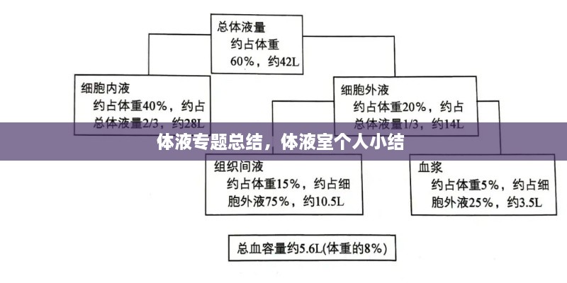 體液專題總結(jié)，體液室個人小結(jié) 