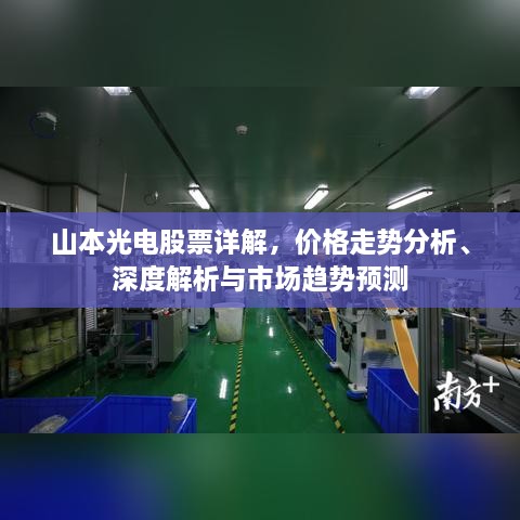 山本光電股票詳解，價格走勢分析、深度解析與市場趨勢預(yù)測