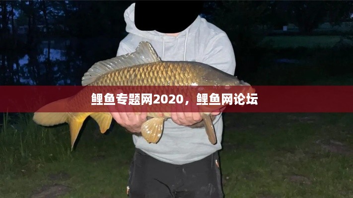 鯉魚專題網(wǎng)2020，鯉魚網(wǎng)論壇 