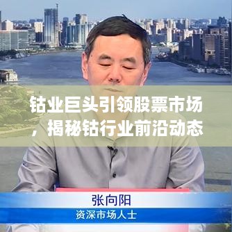 鈷業(yè)巨頭引領(lǐng)股票市場(chǎng)，揭秘鈷行業(yè)前沿動(dòng)態(tài)與未來趨勢(shì)