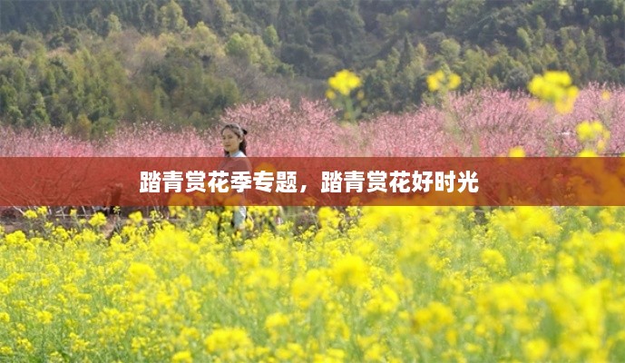 踏青賞花季專題，踏青賞花好時光 