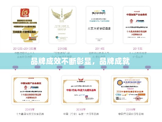 品牌成效不斷彰顯，品牌成就 