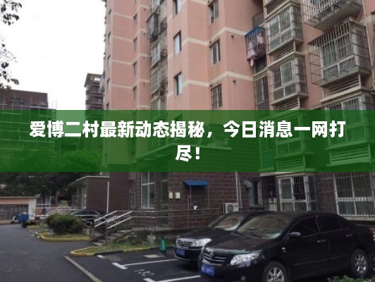 愛(ài)博二村最新動(dòng)態(tài)揭秘，今日消息一網(wǎng)打盡！