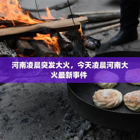 河南凌晨突發(fā)大火，今天凌晨河南大火最新事件 