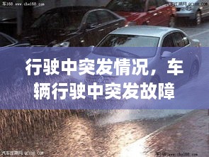 2025年3月 第7頁