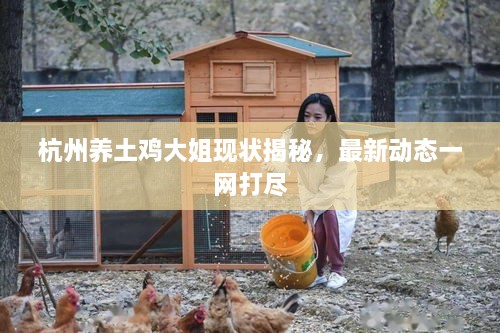 杭州養(yǎng)土雞大姐現狀揭秘，最新動態(tài)一網打盡