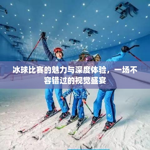 冰球比賽的魅力與深度體驗(yàn)，一場(chǎng)不容錯(cuò)過(guò)的視覺(jué)盛宴