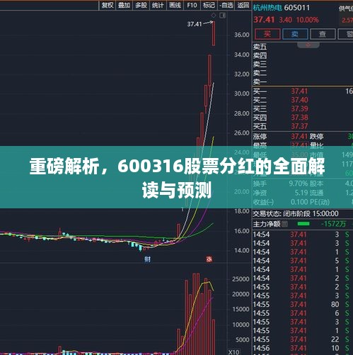 重磅解析，600316股票分紅的全面解讀與預(yù)測(cè)