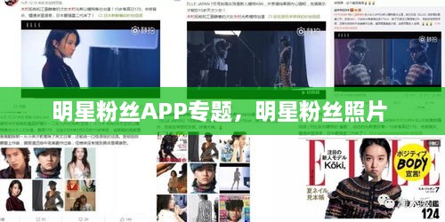 明星粉絲APP專題，明星粉絲照片 