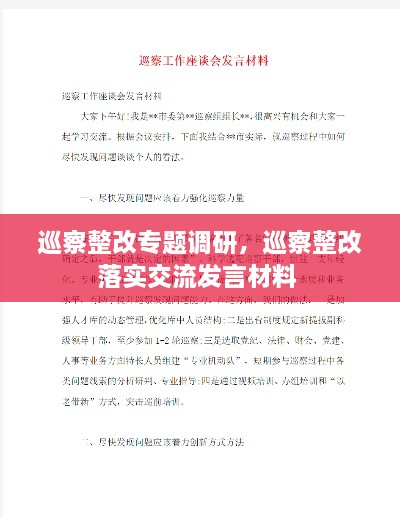 巡察整改專(zhuān)題調(diào)研，巡察整改落實(shí)交流發(fā)言材料 