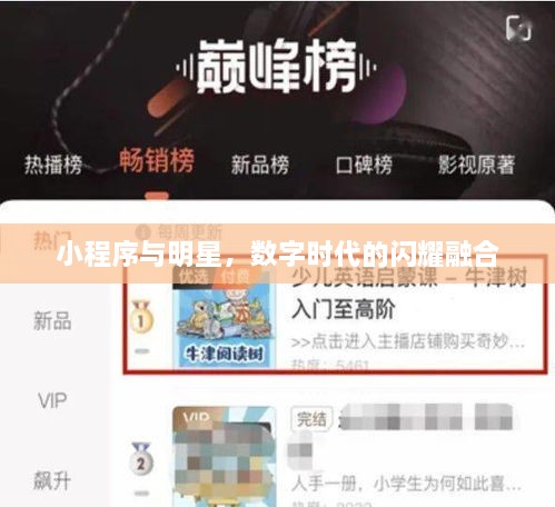 小程序與明星，數(shù)字時代的閃耀融合