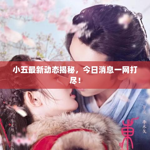 小五最新動態(tài)揭秘，今日消息一網(wǎng)打盡！