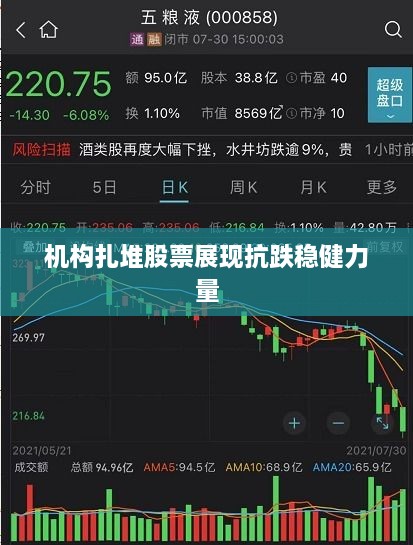 機(jī)構(gòu)扎堆股票展現(xiàn)抗跌穩(wěn)健力量