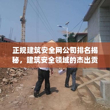 正規(guī)建筑安全網(wǎng)公司排名揭秘，建筑安全領(lǐng)域的杰出貢獻(xiàn)者